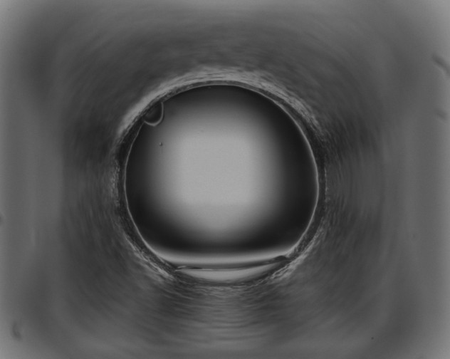 X0000096731502200802121302
