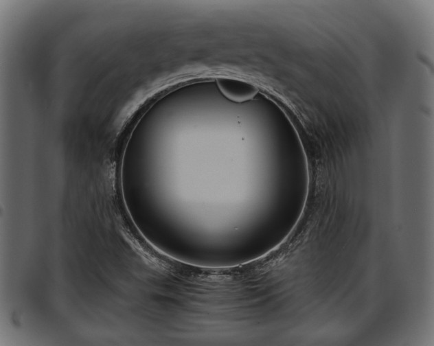 X0000096731503200802121302