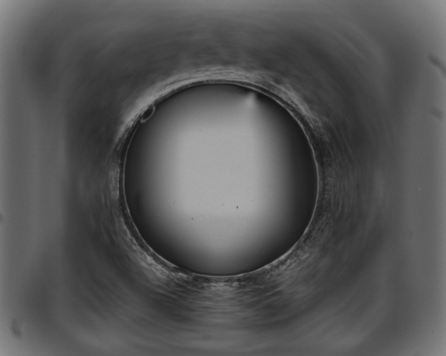 X0000096731504200802121302