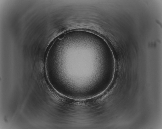 X0000096731505200802121302