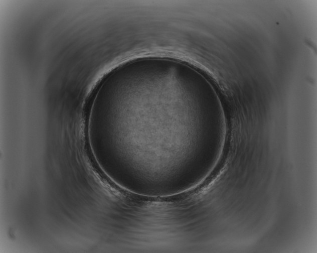 X0000096731506200802121302
