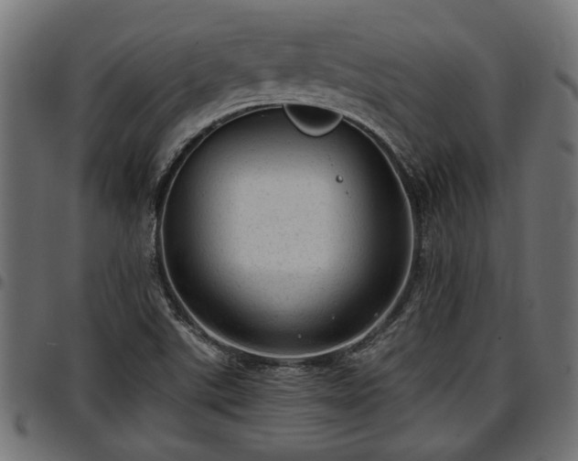 X0000096731507200802121302
