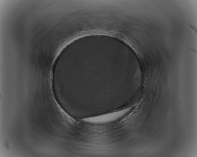 X0000096731508200802121302