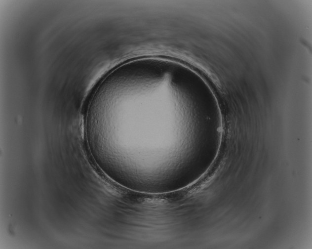 X0000096731509200802121302