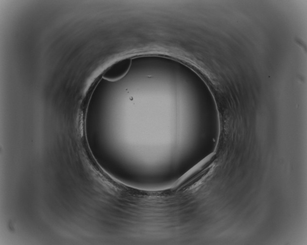 X0000096731510200802121302