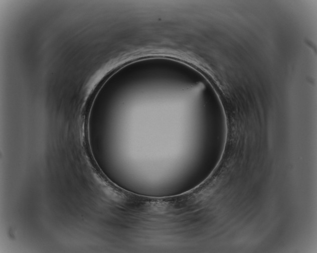 X0000096731511200802121302