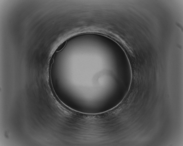 X0000096731512200802121302