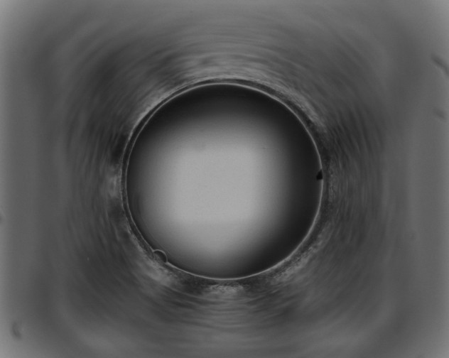 X0000096731513200802121302
