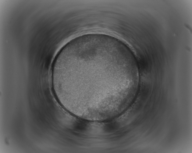 X0000096731514200802121302