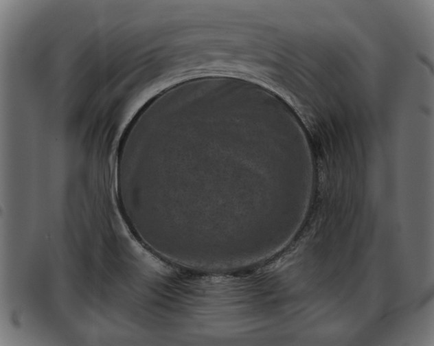 X0000096731515200802121302