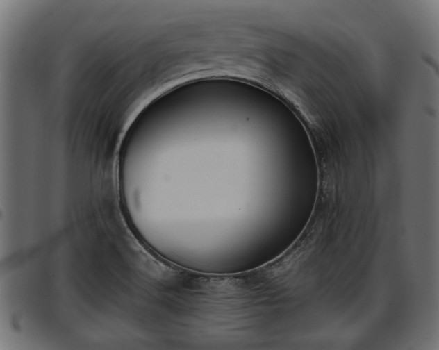 X0000096731516200802121302