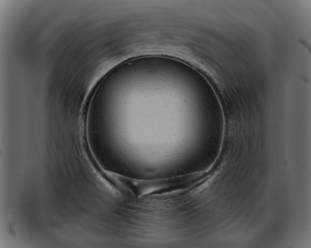 X0000096731517200802121302