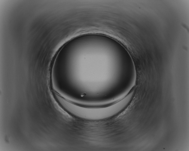 X0000096731518200802121302