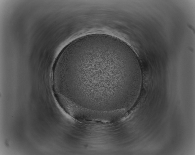 X0000096731519200802121302