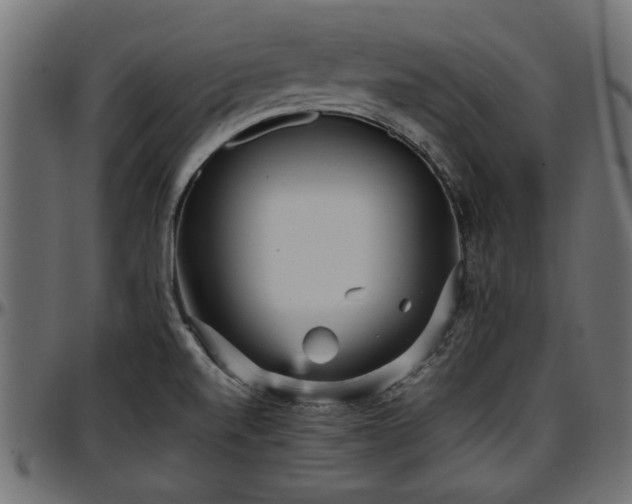 X0000096731520200802121302