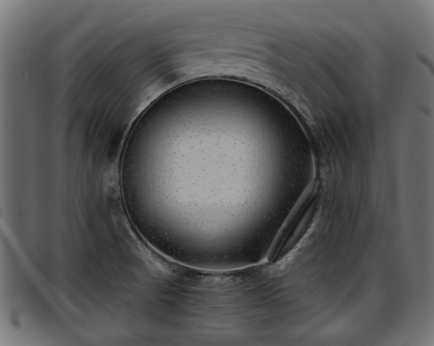 X0000096731521200802121302