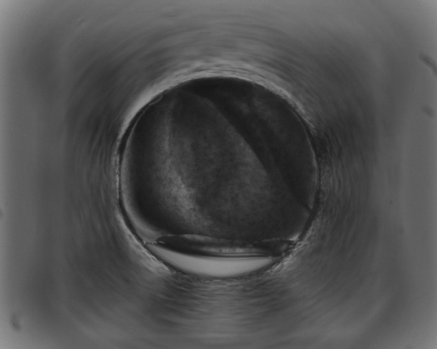 X0000096731522200802121302