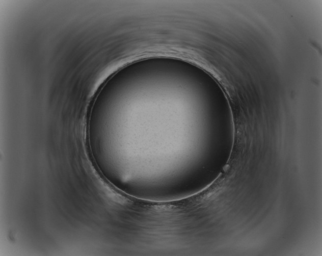 X0000096731523200802121302