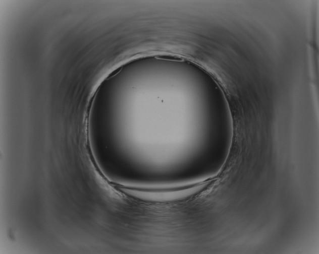 X0000096731524200802121302