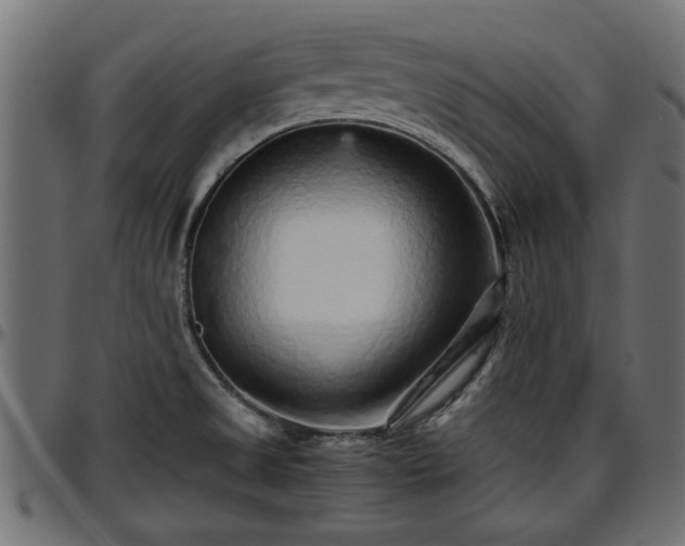 X0000096731525200802121302