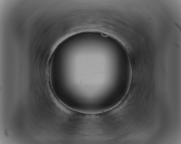 X0000096731526200802121302