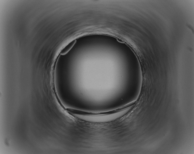 X0000096731528200802121302