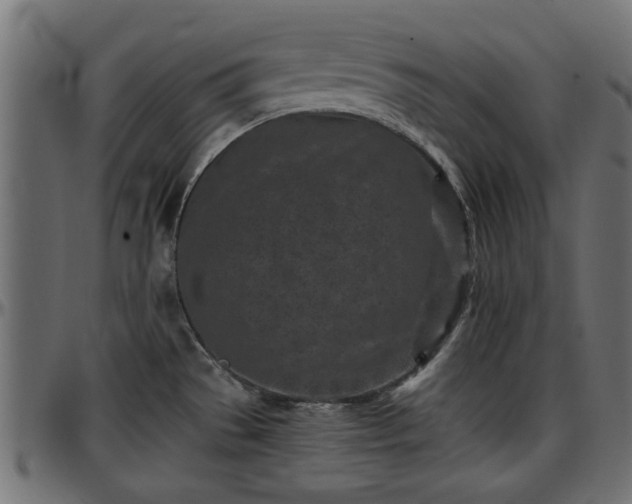 X0000096731529200802121302