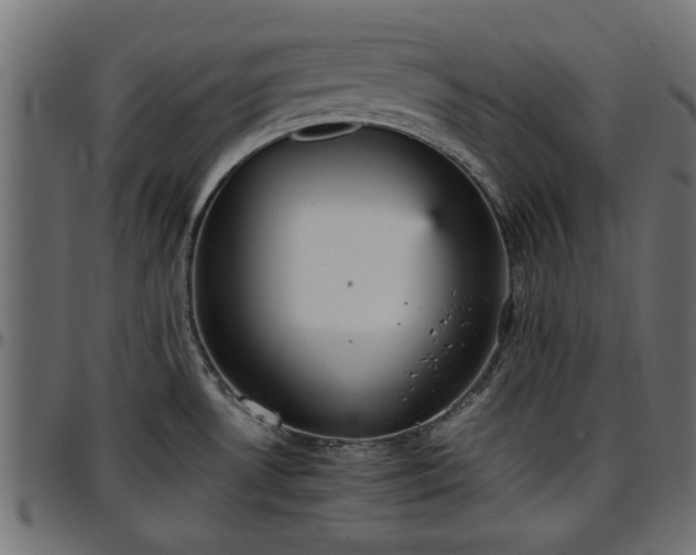 X0000096731530200802121302