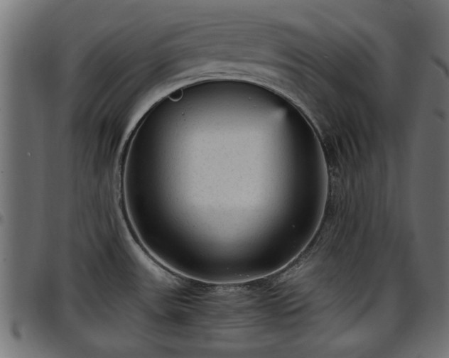 X0000096731531200802121302