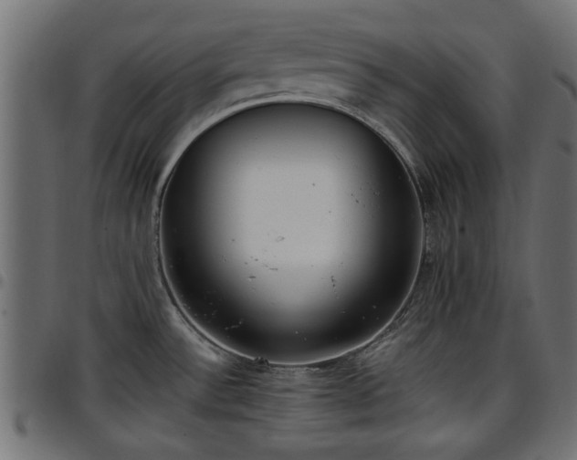 X0000096731532200802121302