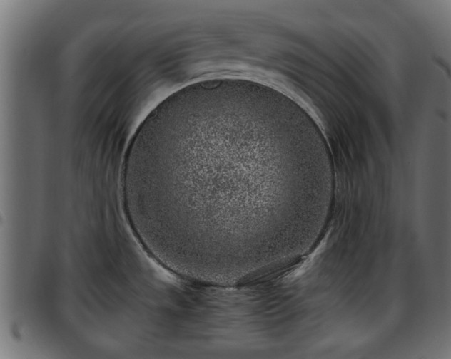 X0000096731533200802121302