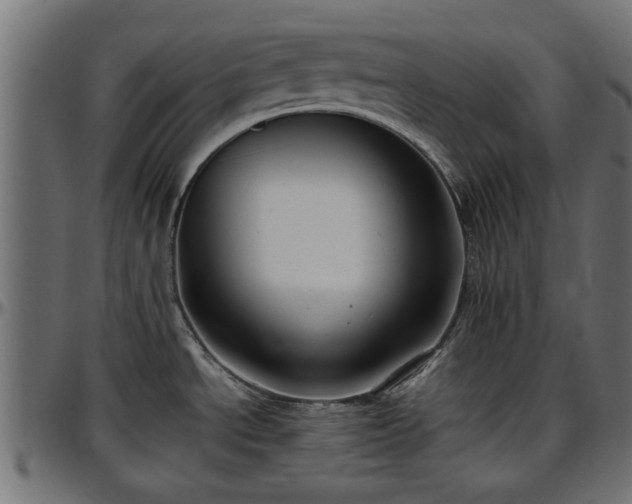 X0000096731534200802121302