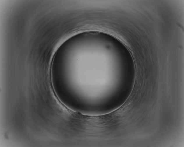 X0000096731536200802121302
