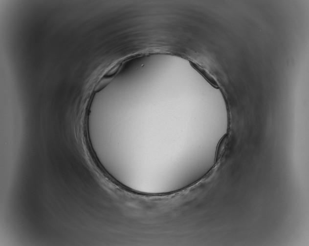 X0000096730001200802191557