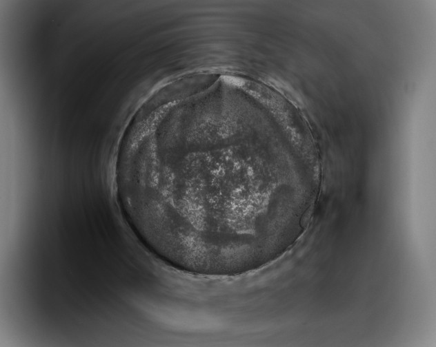 X0000096730002200802191557