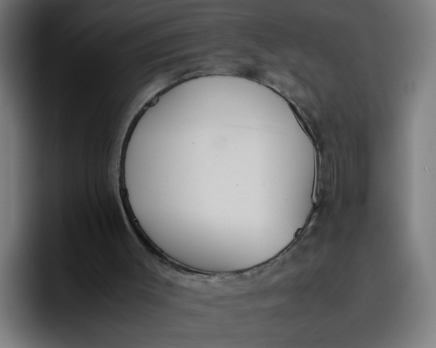 X0000096730003200802191557