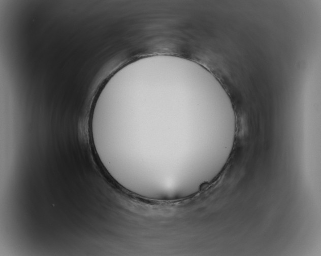 X0000096730004200802191557