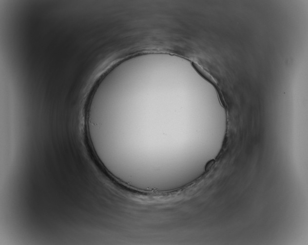 X0000096730005200802191557