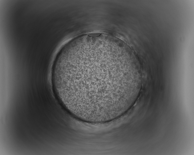 X0000096730006200802191557