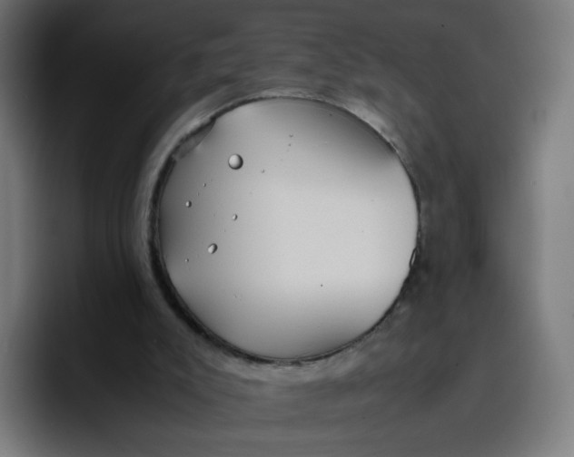 X0000096730007200802191557