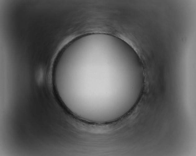 X0000096730008200802191557