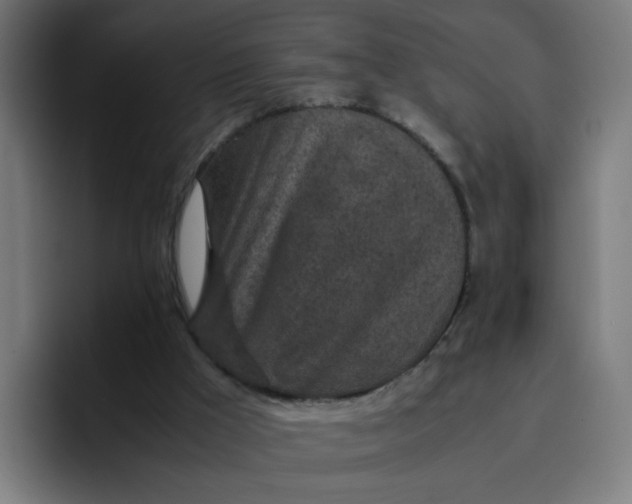 X0000096730009200802191557