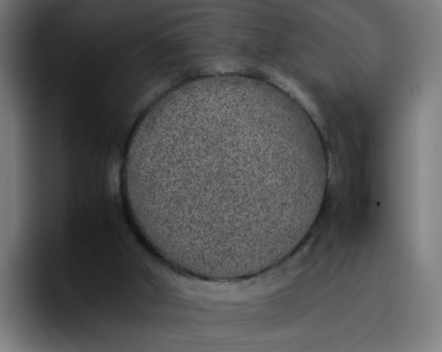 X0000096730010200802191557