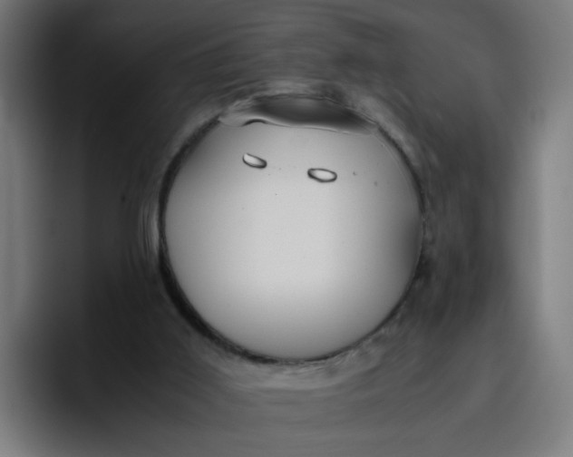 X0000096730011200802191557