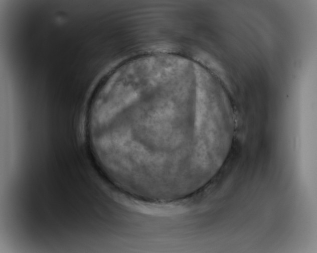 X0000096730012200802191557