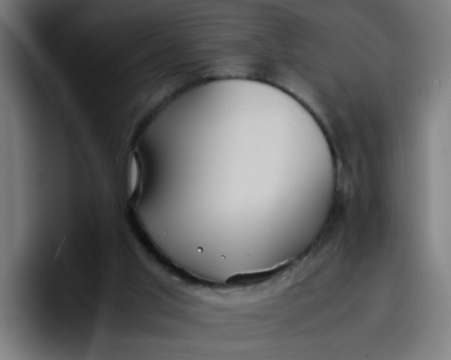 X0000096730013200802191557