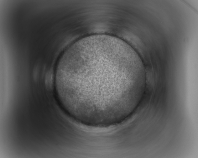 X0000096730016200802191557