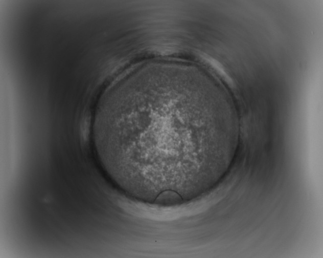 X0000096730018200802191557