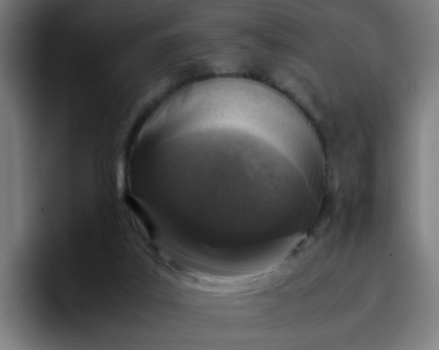 X0000096730019200802191557