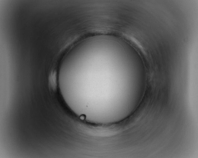 X0000096730020200802191557